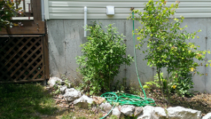 garden hose hanger before picture
